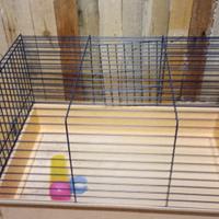 Gabbia per piccoli animali con beverino