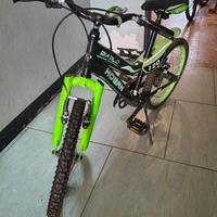 Bicicletta 20 pollici