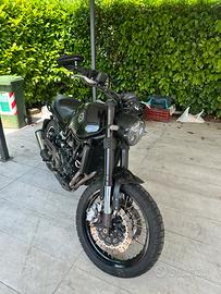 Benelli leoncino 500 trial