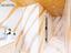 Immagine 22