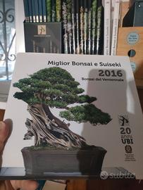 collezione UBI bonsai