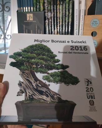 collezione UBI bonsai