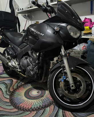 Yamaha TDM 900 2004