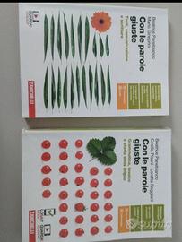 Con le parole giuste Zanichelli