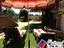 Immagine 26
