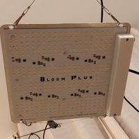 grow box compleata