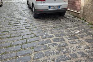 tiguan 2.0  TDI 110 cv sport  bluemotion