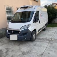 NO ATP DUCATO FRIGO 2014