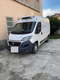 NO ATP DUCATO FRIGO 2014