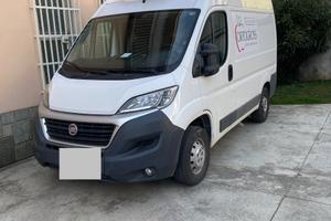 NO ATP DUCATO FRIGO 2014