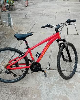 Mountain Bike