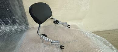 Sissy Bar