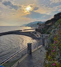 Home Sea Blue Imperia Spiagge d'oro