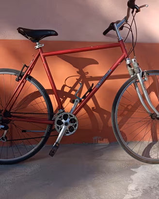 bicicletta da città