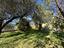 Immagine 27
