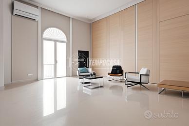 2 LOCALI RISTRUTTURATO CON BOX AUTO