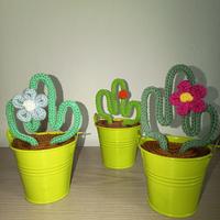 Pianta grassa in Tricotin (8€ singolo pezzo)