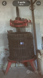 vecchio torcio per uva come nuovo