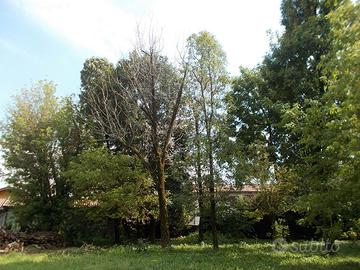 Terreno recintato mq 6000