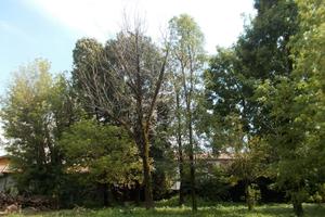 Terreno recintato mq 6000