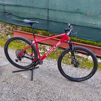 Mtb Focus Raven 8.8