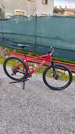 Mtb Focus Raven 8.8