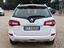 Immagine 7