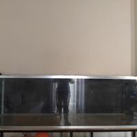 acquario 