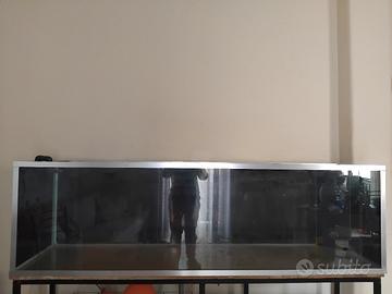 acquario 