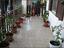Immagine 8