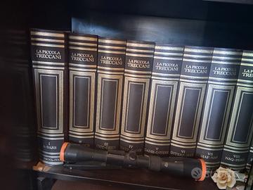 enciclopedia piccola treccani