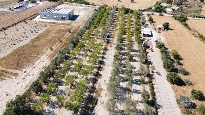 Terreno 2.8 ettari edificabile Marzamemi Pachino - Vista 2