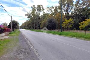 TER. AGRICOLO A EBOLI