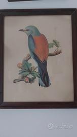 Quadro