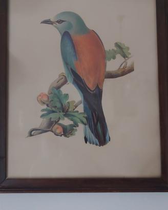 Quadro