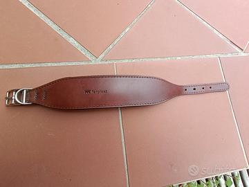 Collare per cane Levriero 