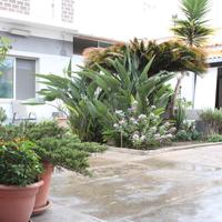 Casa Indipendente a Pirri