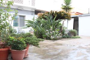 Casa Indipendente a Pirri