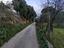 Immagine 27