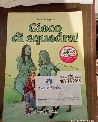 Gioco di squadra