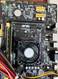 Bundle Scheda Madre CPU Dissipatore Ram