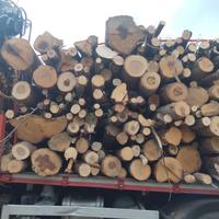 Legna da ardere ,pali scortecciati, bancali..