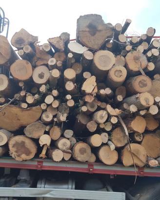 Legna da ardere ,pali scortecciati, bancali..