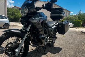 Honda transalp