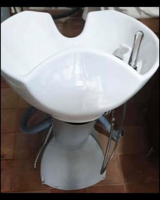 Lavatesta professionale