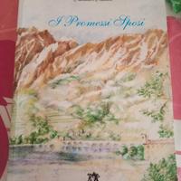 i promessi sposi (medusa editrice)