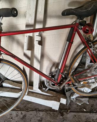 Bicicletta