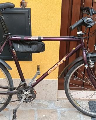 bici GIANT
