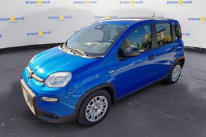 FIAT Pandina Panda Serie 7 1.0 70cv HybridPanda