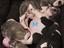 Immagine 1